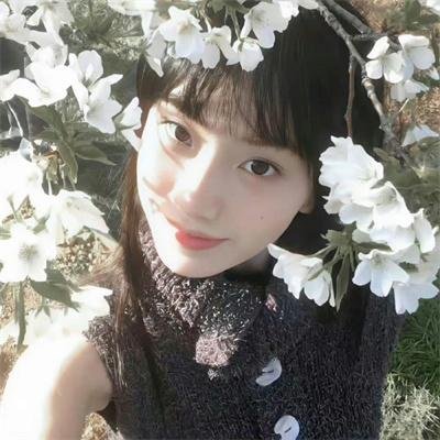 天才少女福尔摩斯2