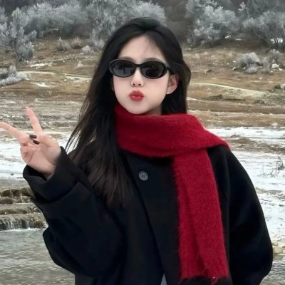 金装四大才子国语